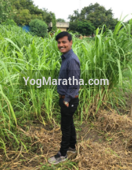 Yog Maratha Vadhu Var