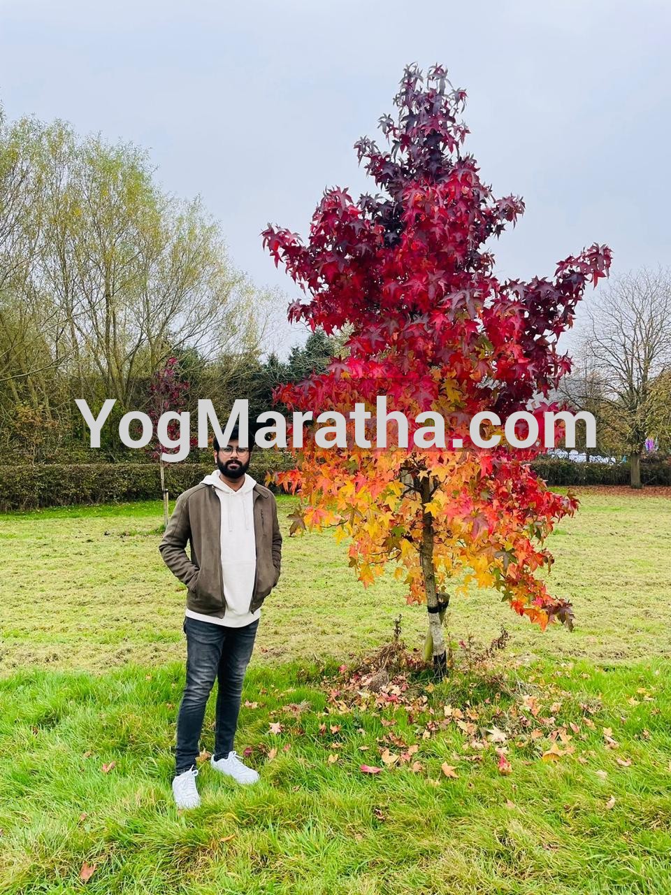 Maratha Marriage Profile