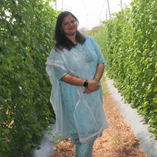 96 Kuli Maratha Profile