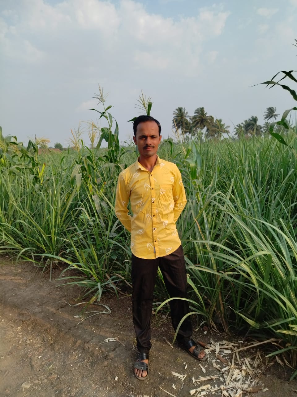 Maratha Marriage Profile Photo