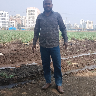 Yog Maratha Vadhu Var