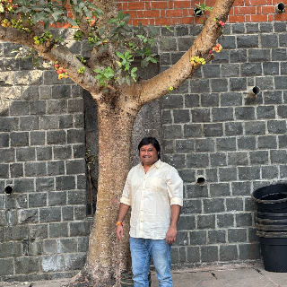 96 Kuli Maratha Profile